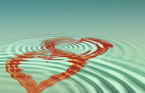 Rex Casino Tacaíocht